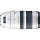 CANON EF 100-400 MM F4.5-5.6 L IS USM