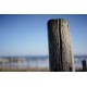 SONY FE 55 MM F1.8ZA CARL ZEYSS