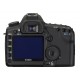 CANON EOS 5D MARK II (solo cuerpo)