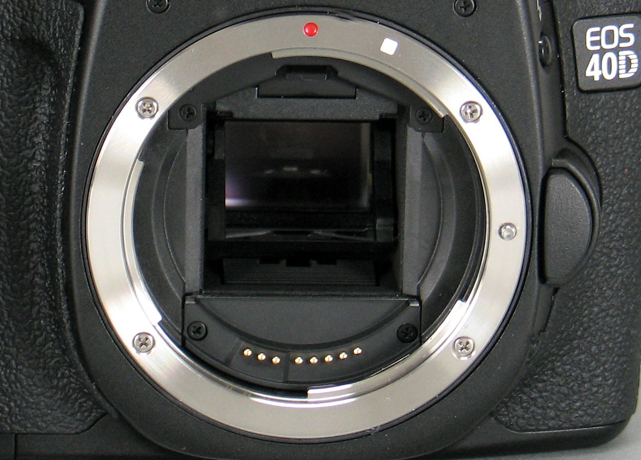 Camaras Reflex